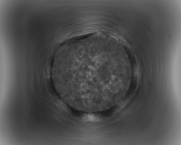 X0000085020565200703121545