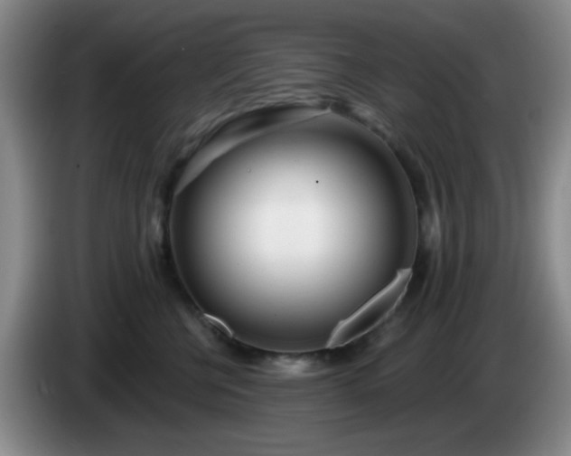 X0000085020570200703121545