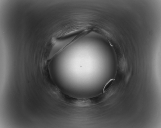 X0000085020571200703121545