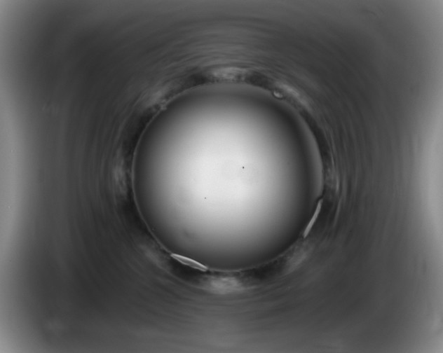 X0000085020572200703121545