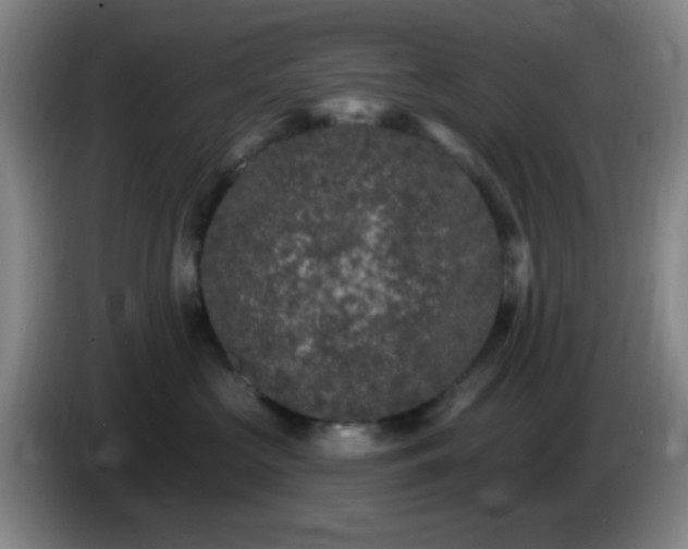 X0000085020573200703121545