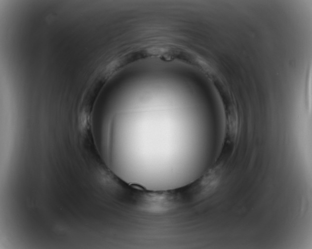 X0000085020574200703121545
