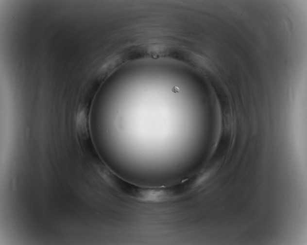 X0000085020575200703121545