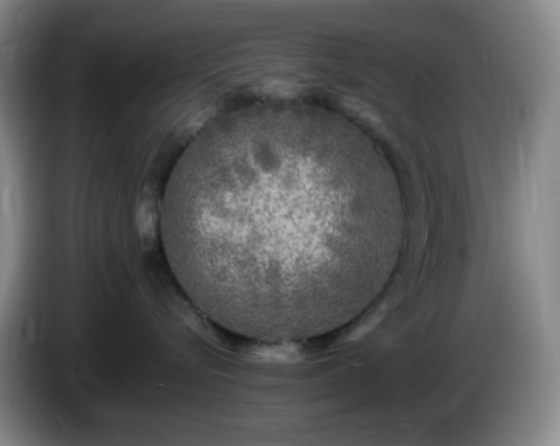 X0000085020576200703121545