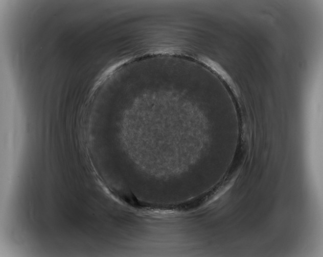 X0000085020577200703121544