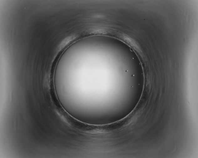 X0000085020578200703121544