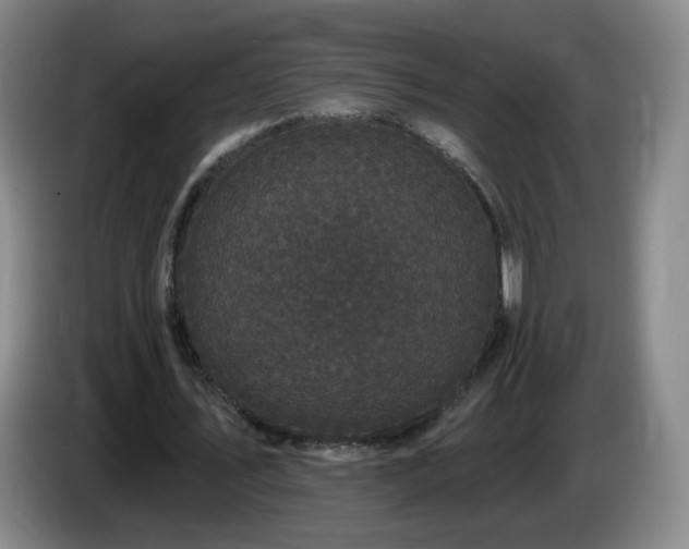 X0000085020579200703121544