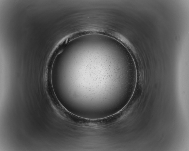 X0000085020580200703121544
