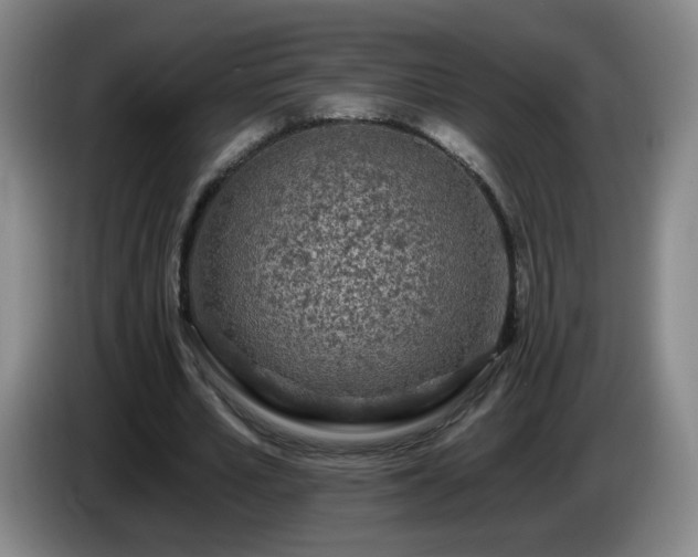 X0000085020581200703121544