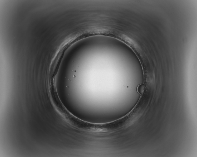 X0000085020582200703121544