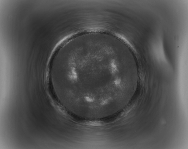 X0000085020583200703121544