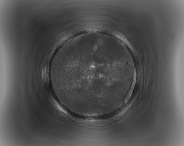 X0000085020585200703121544