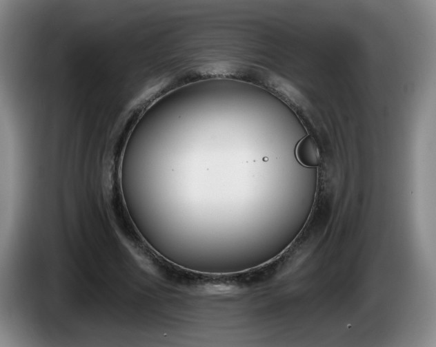 X0000085020586200703121544
