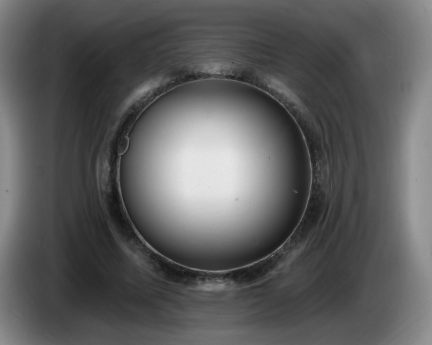 X0000085020587200703121544