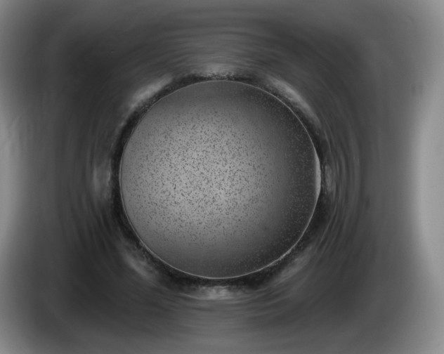 X0000085020588200703121544