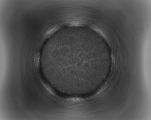 X0000085020590200703121544