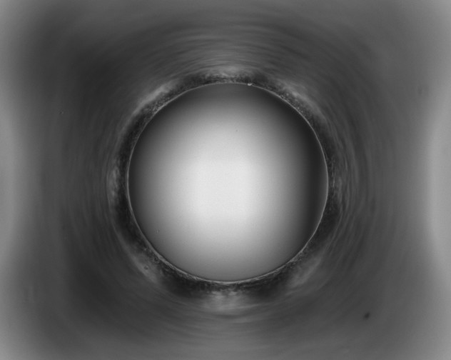 X0000085020591200703121544