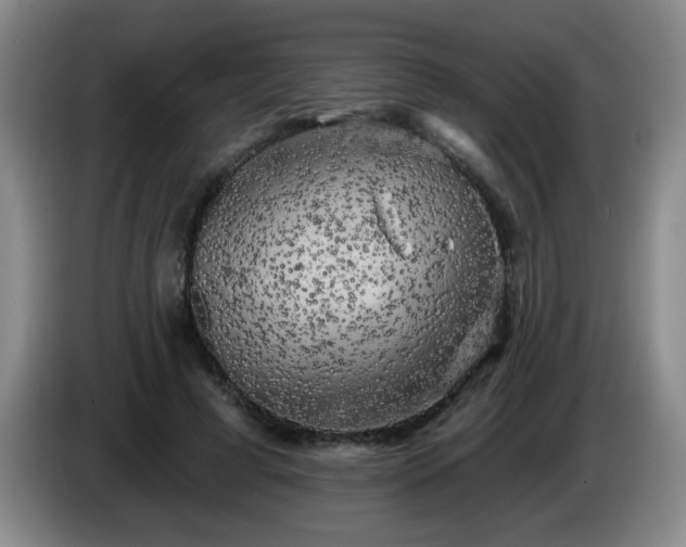 X0000085020593200703121544