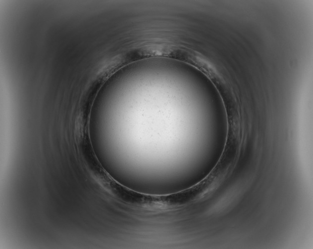 X0000085020594200703121544