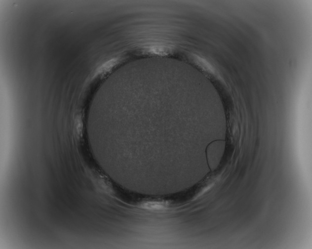 X0000085020595200703121544