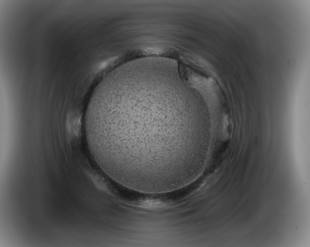 X0000085020596200703121544