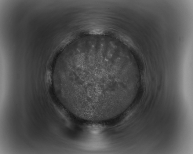X0000085020598200703121544