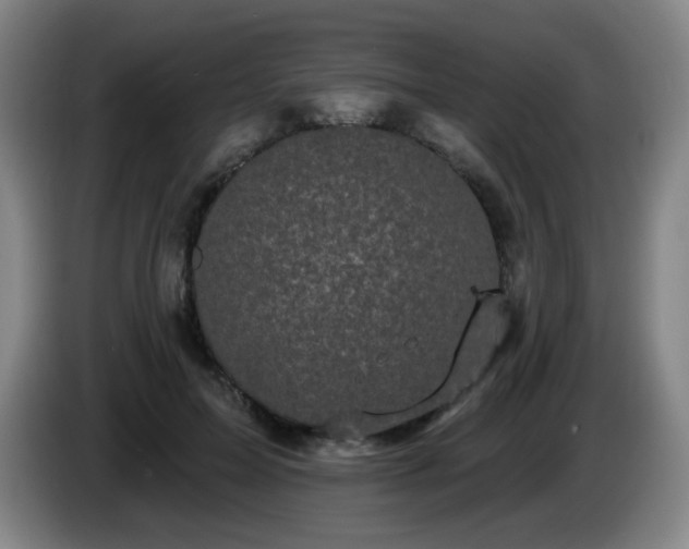 X0000085020599200703121544