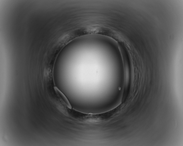 X0000085020601200703121544