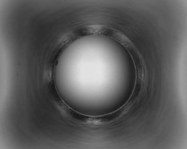 X0000085020602200703121544