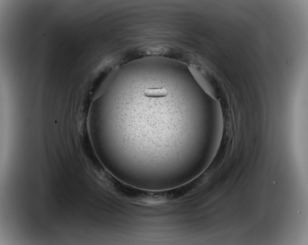 X0000085020604200703121544