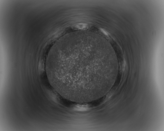 X0000085020606200703121544