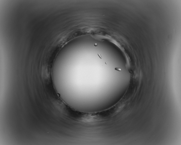 X0000085020607200703121544