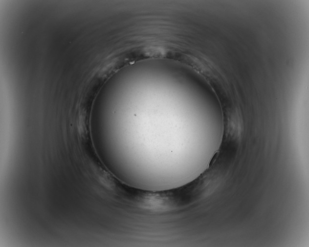 X0000085020616200703121544