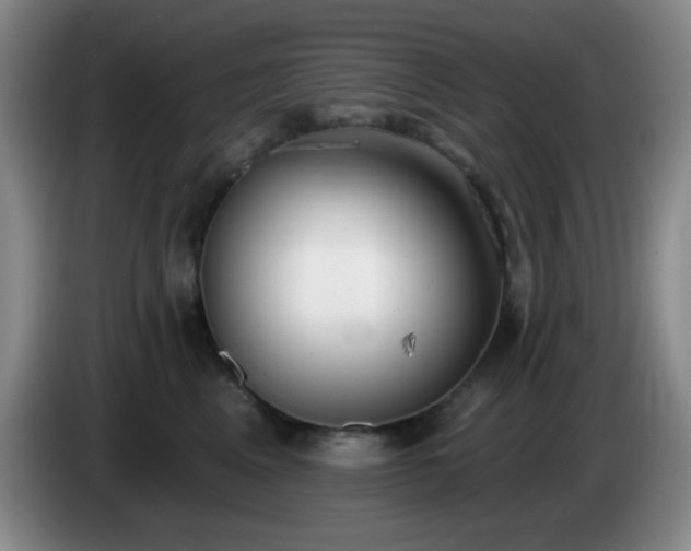 X0000085020617200703121544