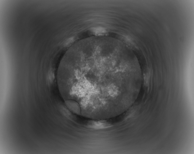 X0000085020618200703121544