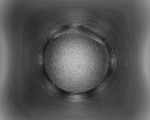 X0000085020620200703121544