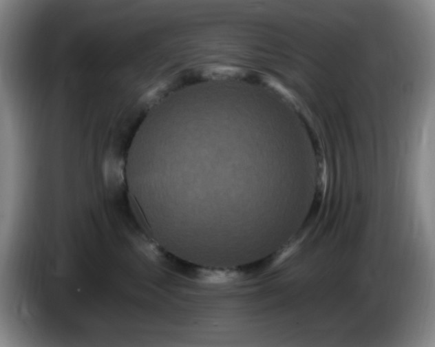 X0000085020621200703121544