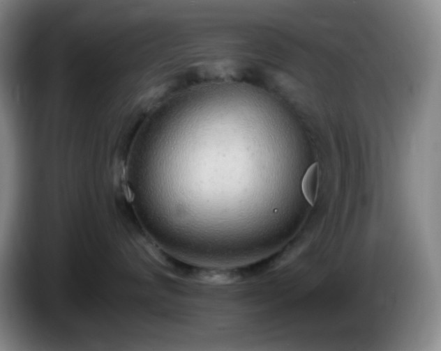 X0000085020624200703121544