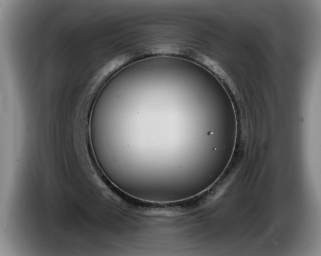 X0000085020625200703121543