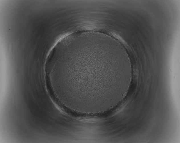 X0000085020626200703121543