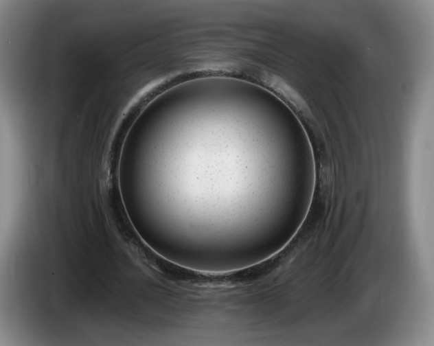 X0000085020628200703121543