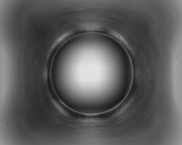 X0000085020629200703121543