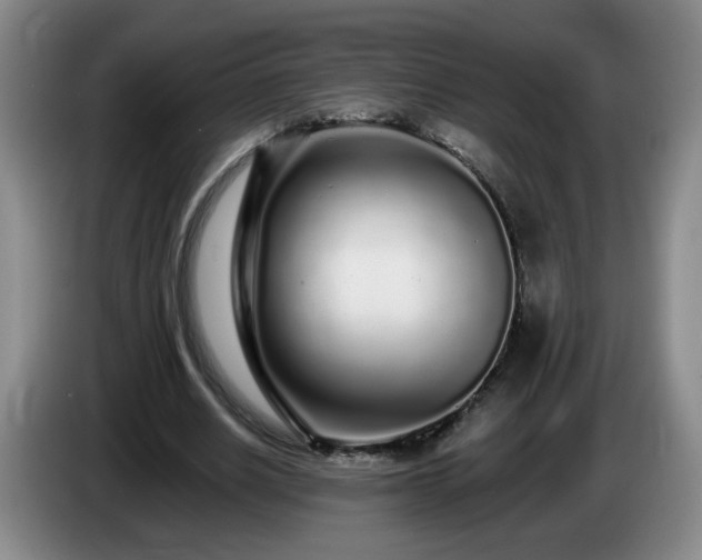 X0000085020630200703121543
