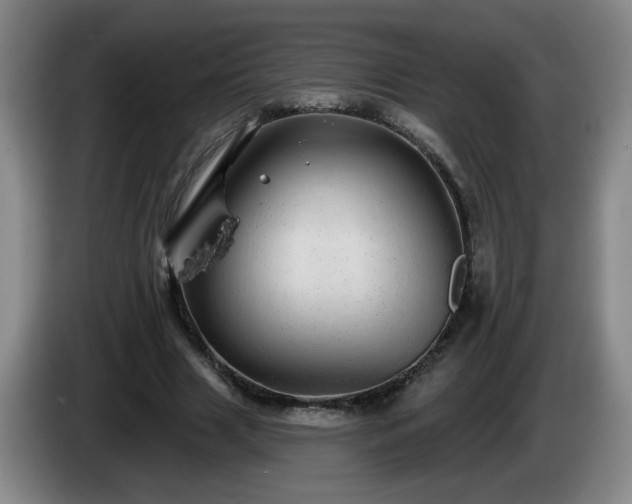 X0000085020633200703121543