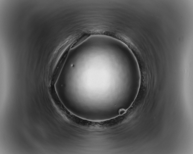 X0000085020634200703121543
