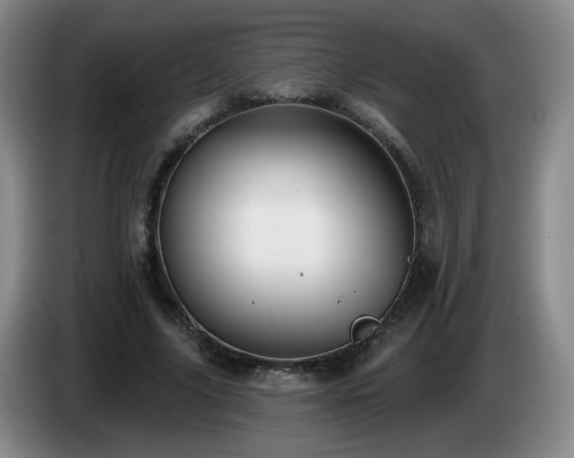 X0000085020635200703121543