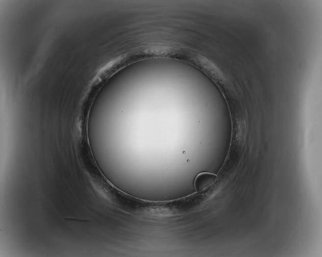 X0000085020636200703121543