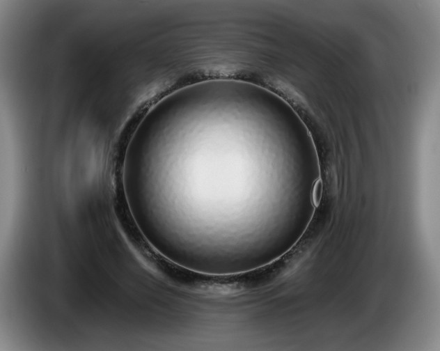 X0000085020638200703121543
