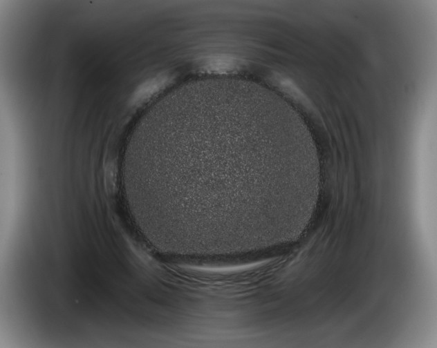 X0000085020640200703121543
