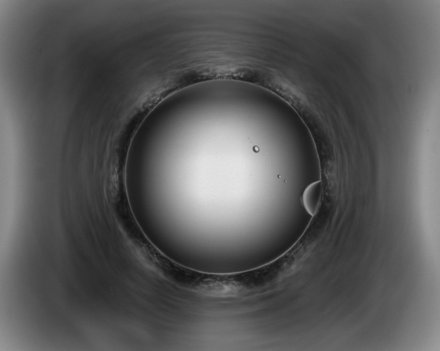 X0000085020642200703121543